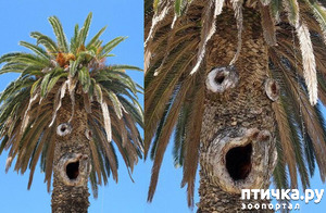 ����: � ������� �������� ���. �� �� �����, ��� - ����!