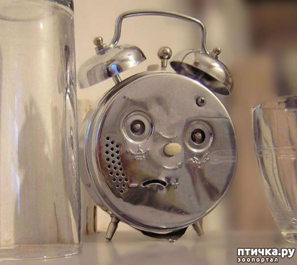 ���� 3: � ������� �������� ���. �� �� �����, ��� - ����!