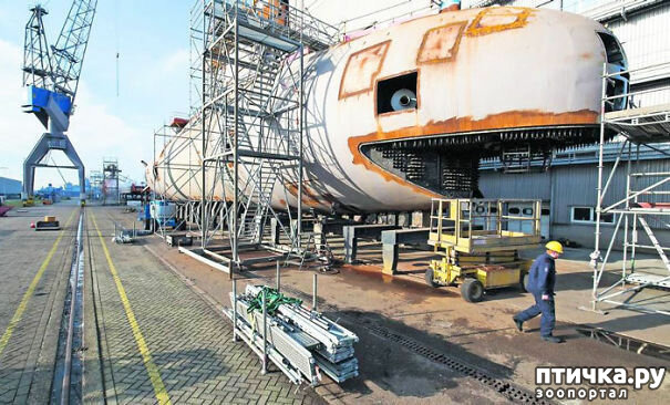 ���� 5: � ������� �������� ���. �� �� �����, ��� - ����!