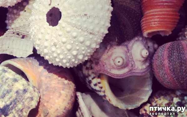 ���� 8: � ������� �������� ���. �� �� �����, ��� - ����!