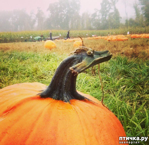 ���� 9: � ������� �������� ���. �� �� �����, ��� - ����!