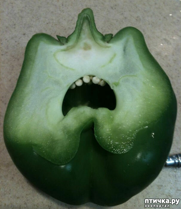 ���� 10: � ������� �������� ���. �� �� �����, ��� - ����!