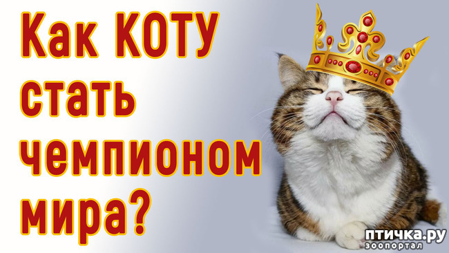 ���� 1: ��� ����� ���������� ���������� ����?