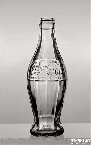 ���� 19: � ������� �������� ���. �� �� �����, ��� - ����!