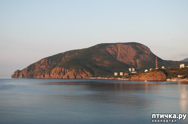 ���� 22: � ������� �������� ���. �� �� �����, ��� - ����!