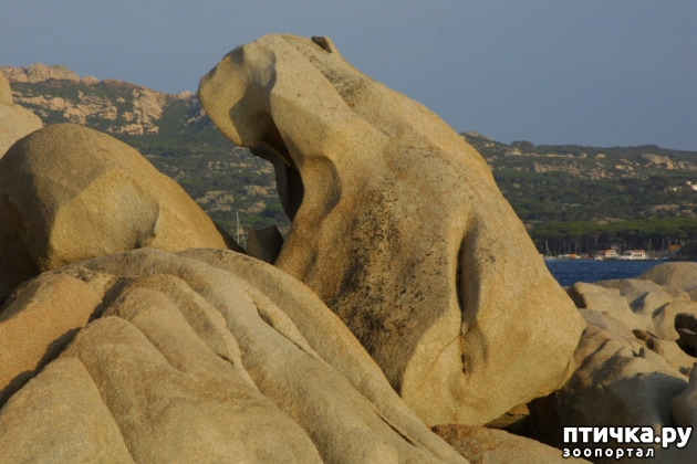 ���� 23: � ������� �������� ���. �� �� �����, ��� - ����!