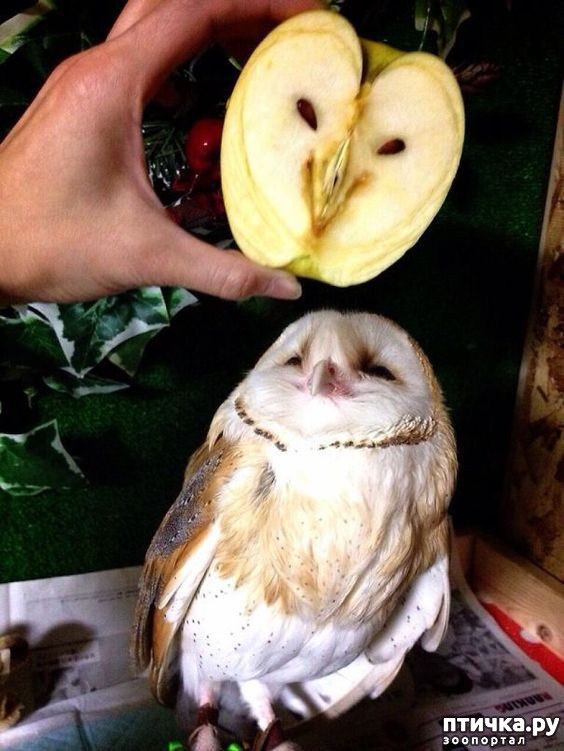 ���� 24: � ������� �������� ���. �� �� �����, ��� - ����!