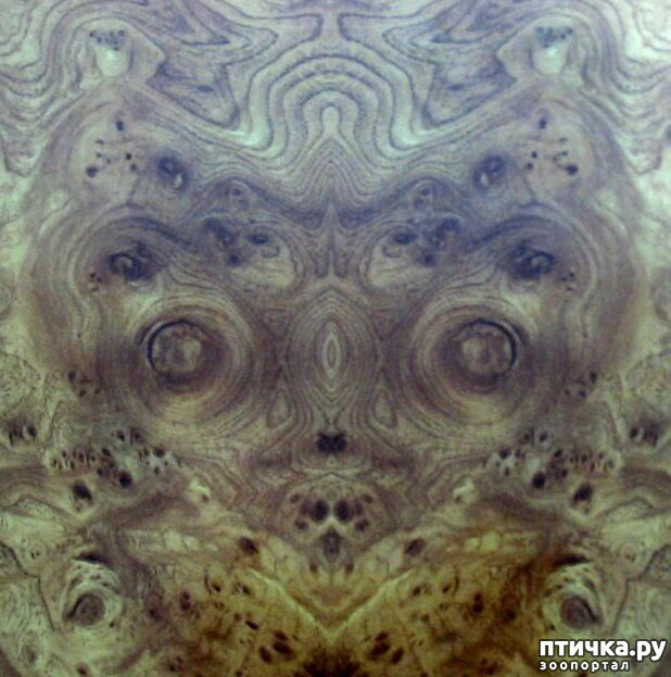 ���� 11: � ������� �������� ���. �� �� �����, ��� - ����!