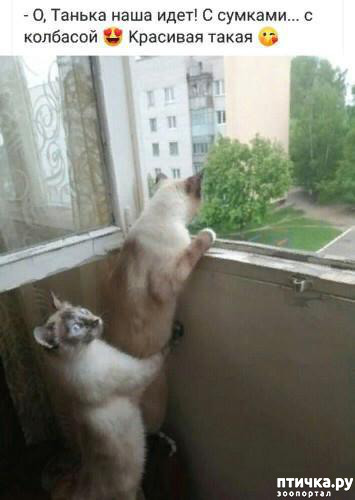 ���� 1: ������� �����