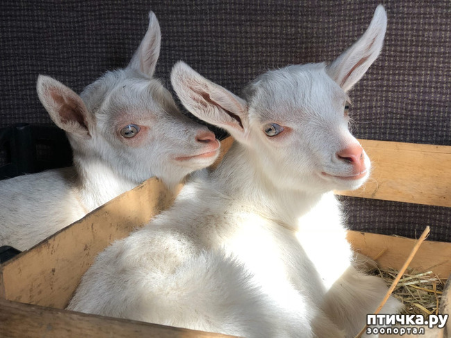 ���� 2: �������� ������...