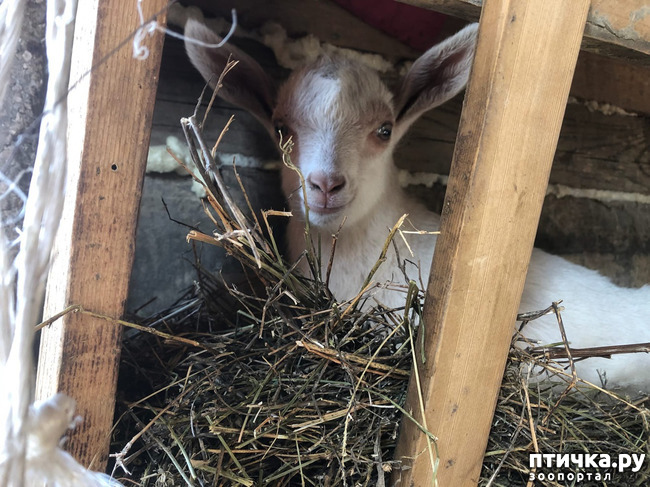 ���� 3: �������� ������...