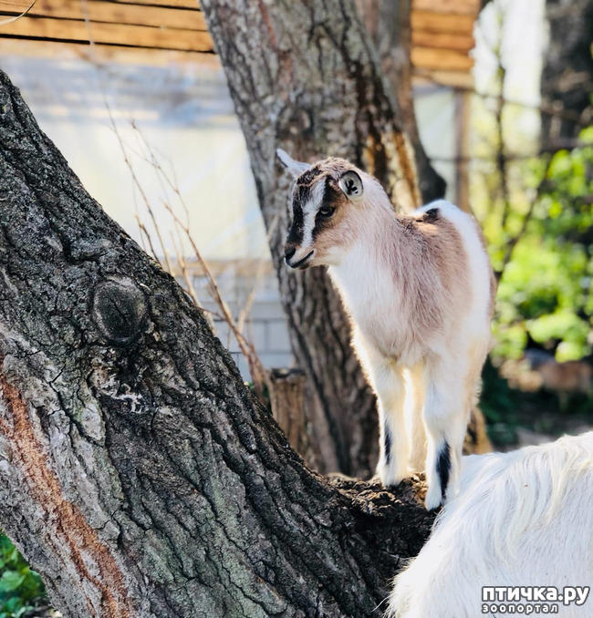 ���� 4: �������� ������...