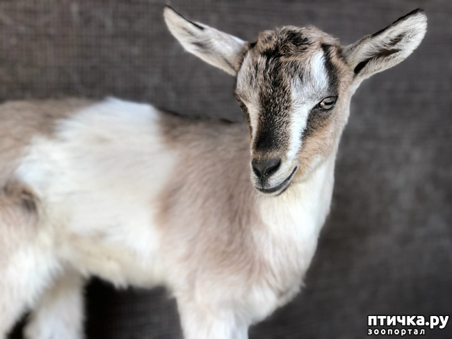 ���� 5: �������� ������...