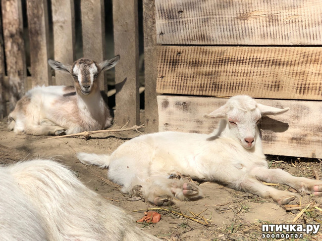 ���� 8: �������� ������...