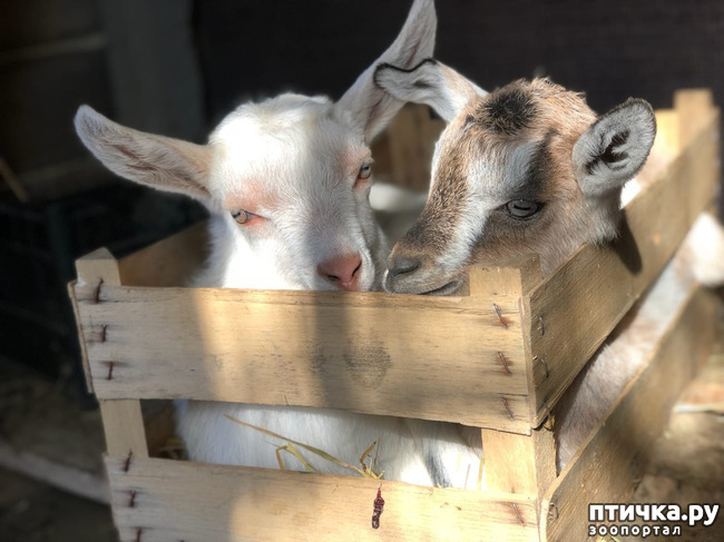 ���� 10: �������� ������...