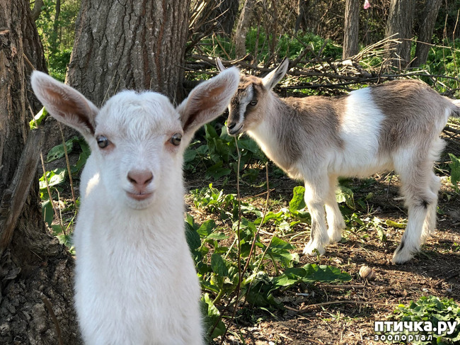 ���� 12: �������� ������...