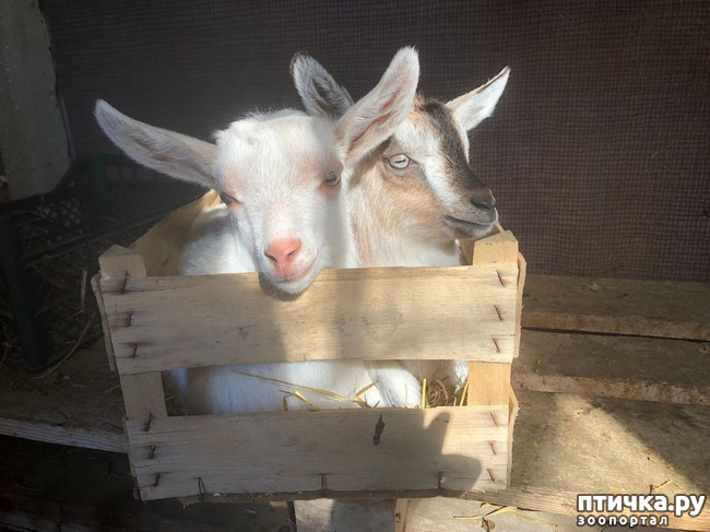 ���� 11: �������� ������...