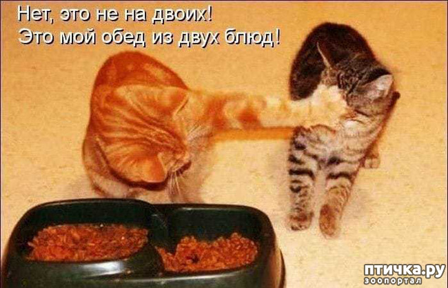 ���� 1: ���� ������ ��� �� �������� �������