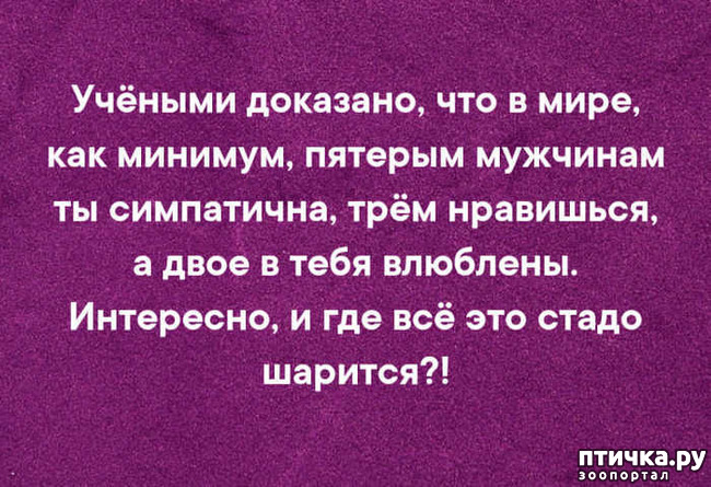 ���� 2: ������ � ������ ������, ����� �����-�� ���...)))