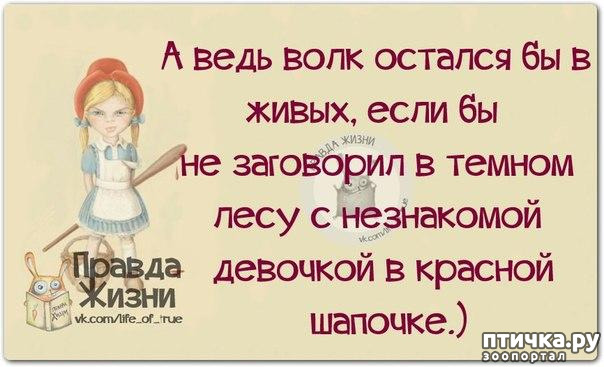 ���� 3: ������ � ������ ������, ����� �����-�� ���...)))