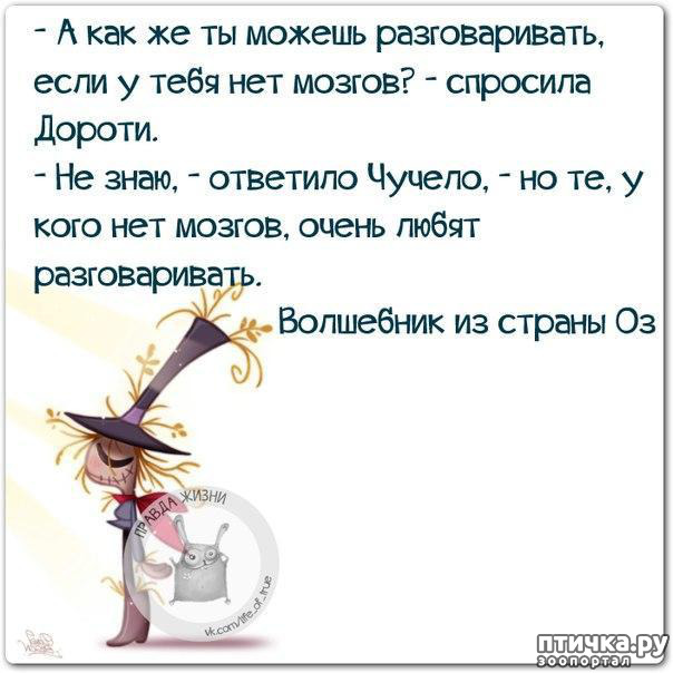 ���� 5: ������ � ������ ������, ����� �����-�� ���...)))