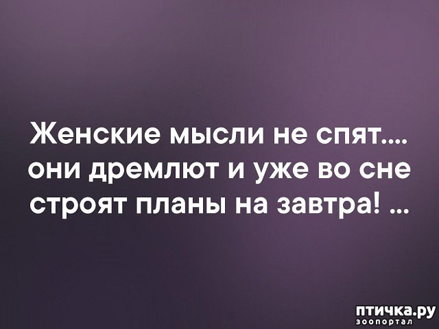 ���� 8: ������ � ������ ������, ����� �����-�� ���...)))