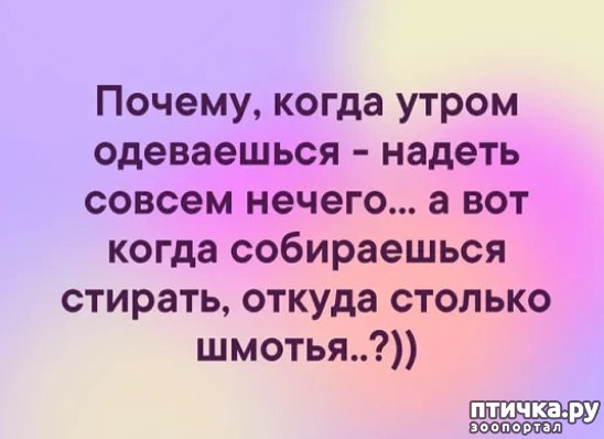 ���� 9: ������ � ������ ������, ����� �����-�� ���...)))