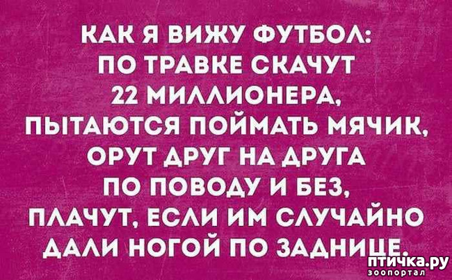 ���� 11: ������ � ������ ������, ����� �����-�� ���...)))