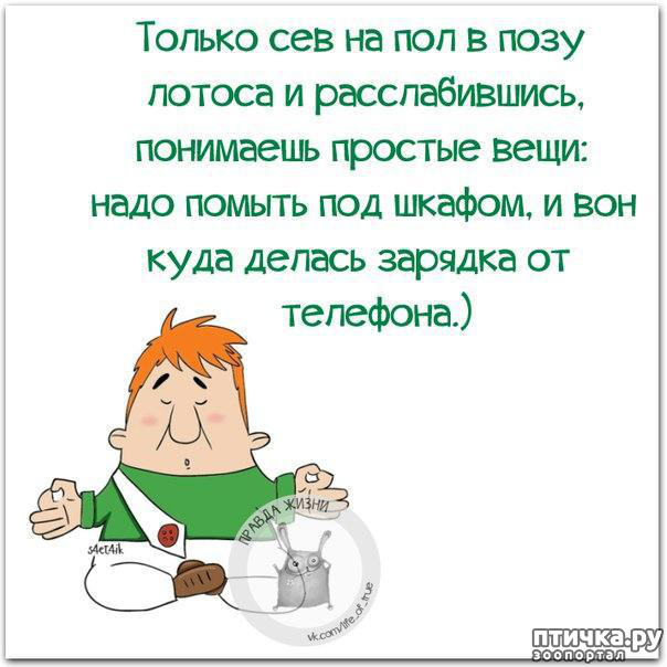 ���� 13: ������ � ������ ������, ����� �����-�� ���...)))