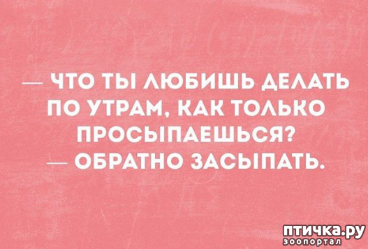 ���� 12: ������ � ������ ������, ����� �����-�� ���...)))