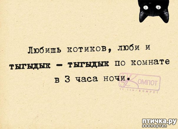 ���� 16: ������ � ������ ������, ����� �����-�� ���...)))