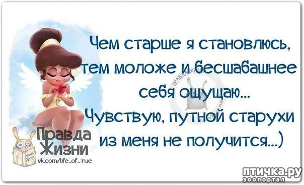 ���� 14: ������ � ������ ������, ����� �����-�� ���...)))