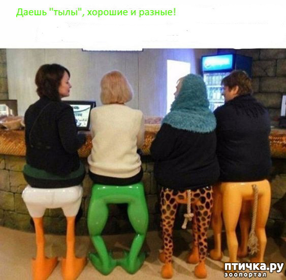 ���� 7: � ����� ������ ����� ����