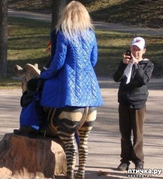 ���� 8: � ����� ������ ����� ����