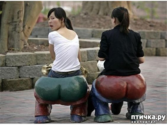 ���� 9: � ����� ������ ����� ����