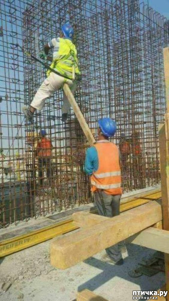 ���� 17: � ����� ������ ����� ����