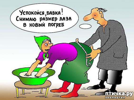 ���� 19: � ����� ������ ����� ����