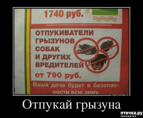 ���� 2: ����������� ��� ������� �� ���������