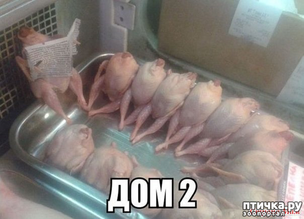 ���� 4: ����������� ��� ������� �� ���������