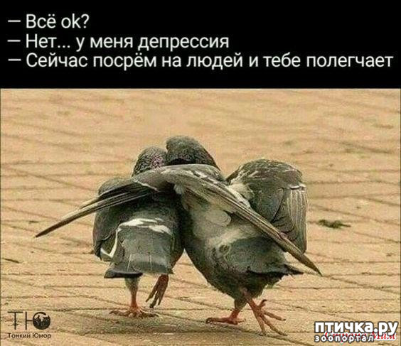 ���� 6: ����������� ��� ������� �� ���������