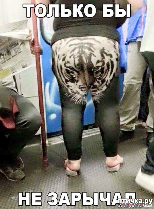 ���� 3: ����������� ��� ������� �� ���������