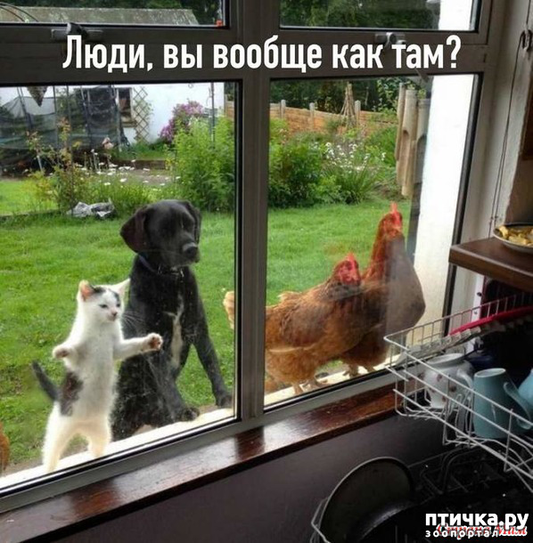 ���� 1: ����������� ��� ������� �� ���������