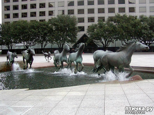 ���� 1: ��������� �� ������ � ���