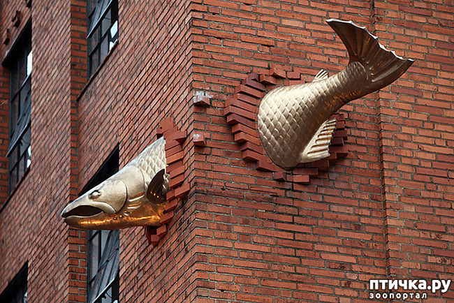 ���� 2: ��������� �� ������ � ���