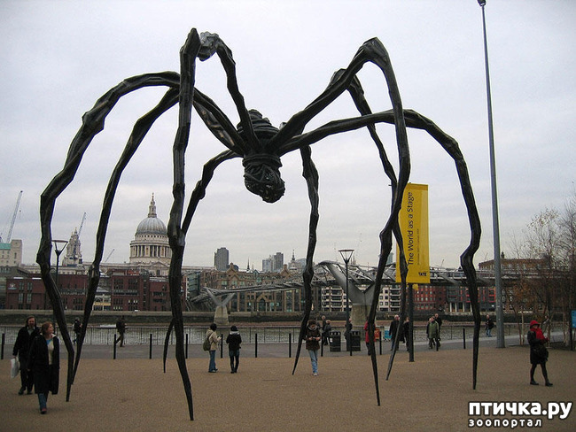 ���� 4: ��������� �� ������ � ���