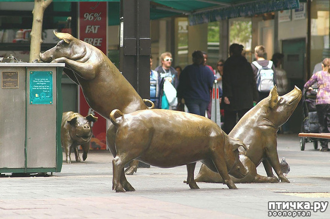 ���� 7: ��������� �� ������ � ���