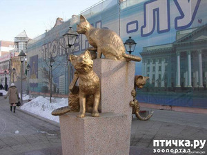 фотография: Скульптуры кошек в разных городах и странах. фото: Скульптуры кошек в разных городах и странах.