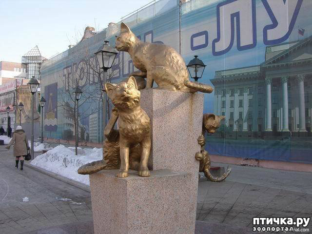 ���� 1: ���������� ����� � ������ ������� � �������.