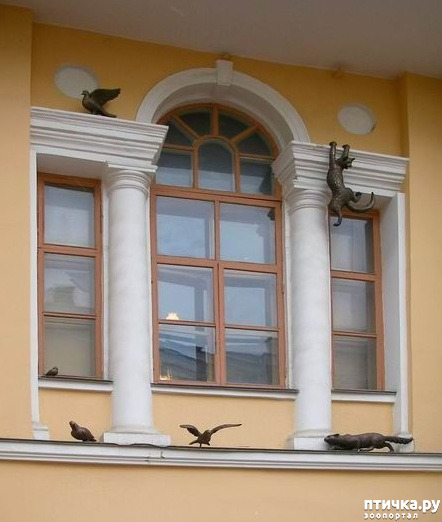 ���� 11: ��������� �� ������ � ���