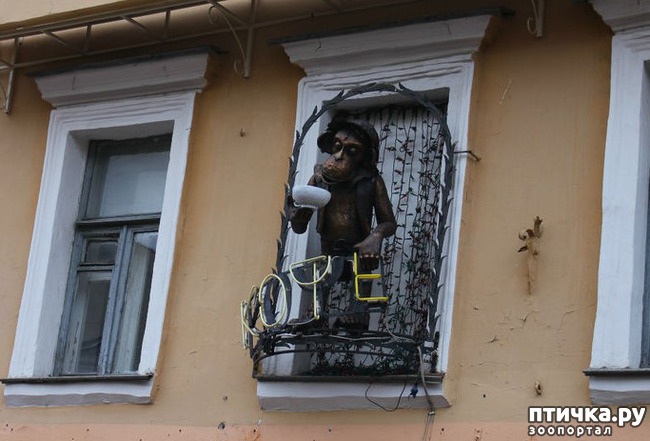 ���� 12: ��������� �� ������ � ���